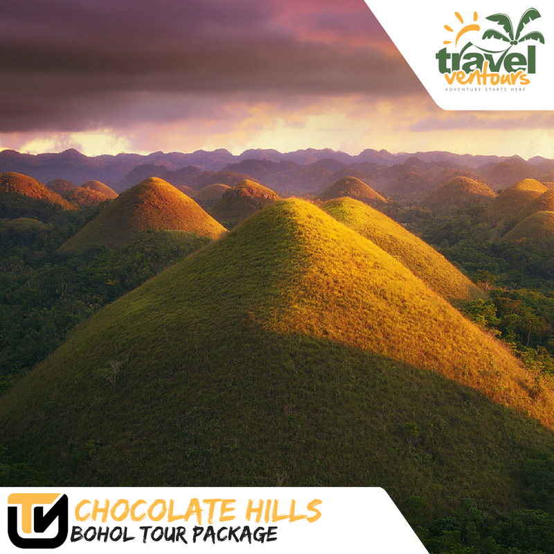 Chocolate Hills Bohol tour package